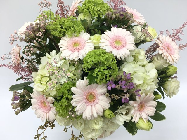 Weekly Import Flower - Limited edition - Light Pink Gerbera in Vase LE6 - 1BB0309A4 Photo