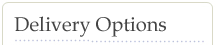 shipping options