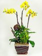 P2199