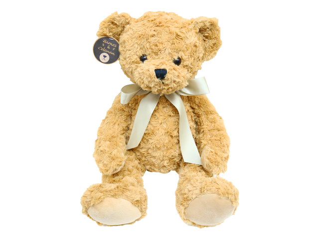泰迪熊毛公仔 - Barnes & Coleman 經典米棕色 Teddy Bear - L9857 Photo