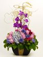 花店鮮花擺設 紫蝴蝶蘭 Florist Flower Arrangement P4434