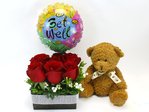 送禮組合 早日康復禮物 6 Florist Gift Set L27151