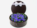 送花禮盒 風。花。盒 Order Flowers in Box L12027