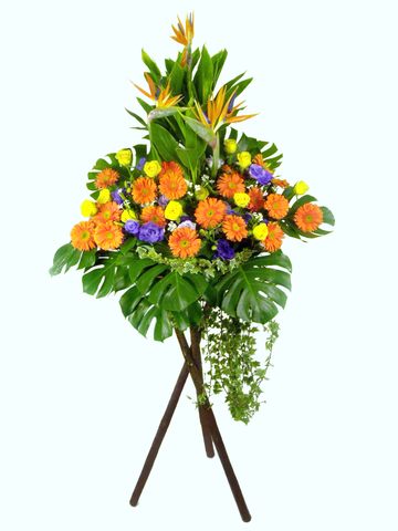 開張花籃 - 喜氣洋洋花籃 - P8824 Photo