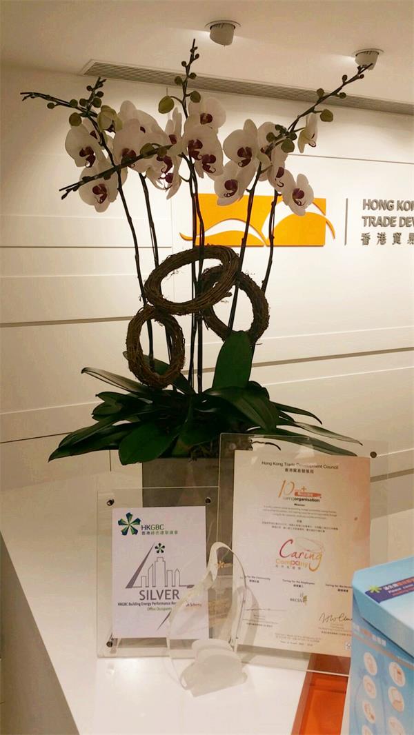 4.26-Hong Kong Florist Monthly Flower Rental Service