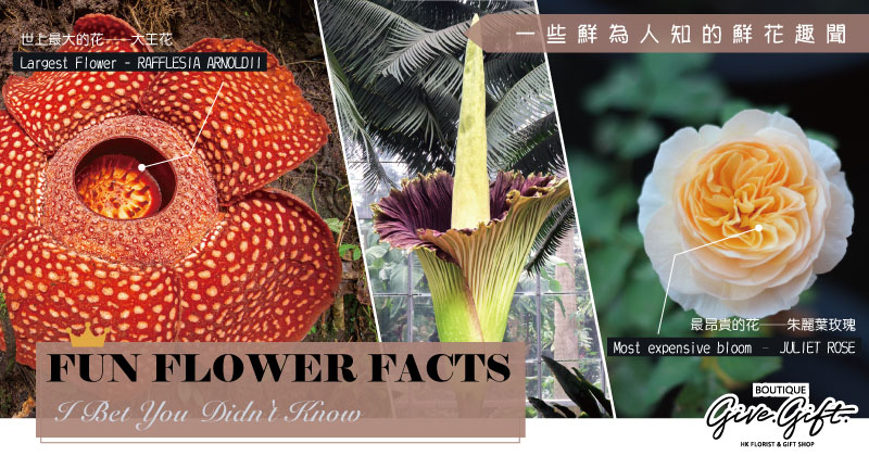 Fun Flower Facts I Bet You Didn't Know