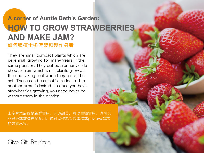 A corner of Auntie Beth's Garden: How to grow strawberries and make jam?