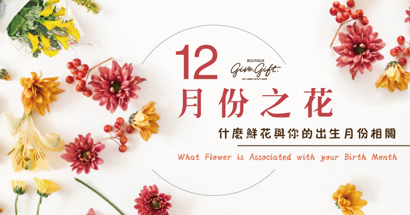 十二月份之花 | 什麼鮮花與你的出生月份相關？