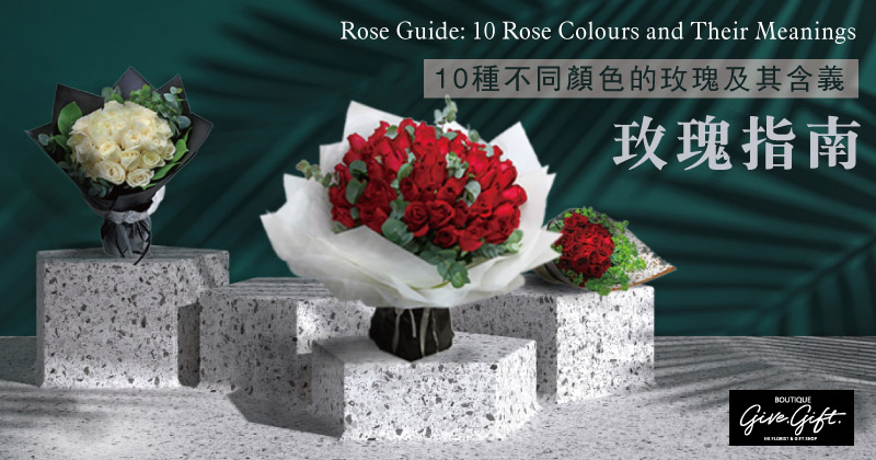 玫瑰指南：10种不同颜色的玫瑰及其含义