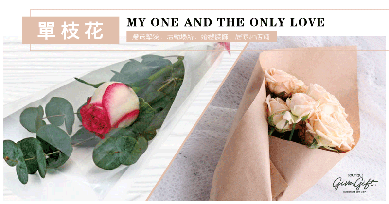 单枝花 | My one and the only love