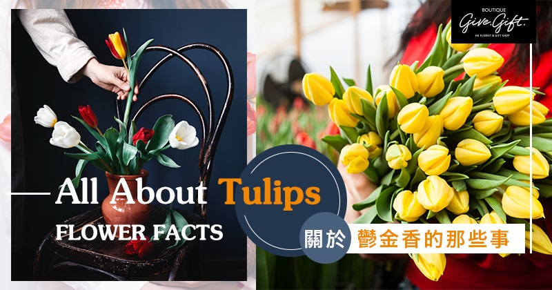Flower Facts: All About Tulips