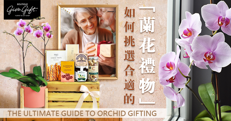 The Ultimate Guide to Orchid Gifting