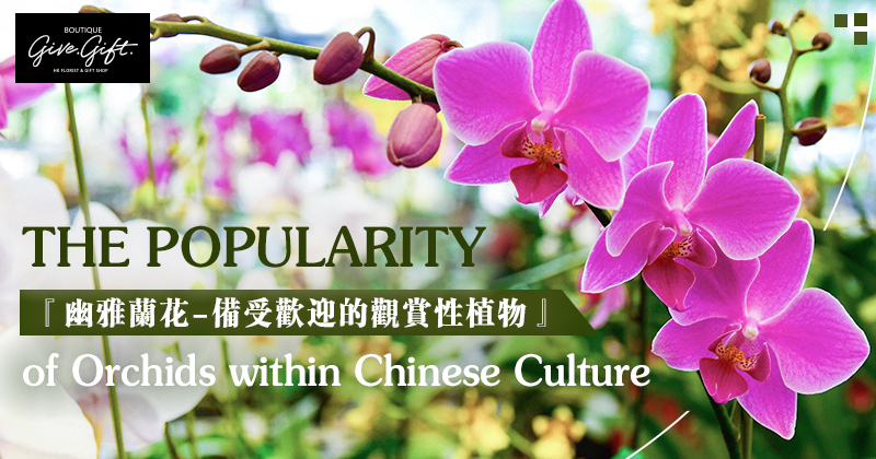 The Popularity of Orchids within Chinese Culture