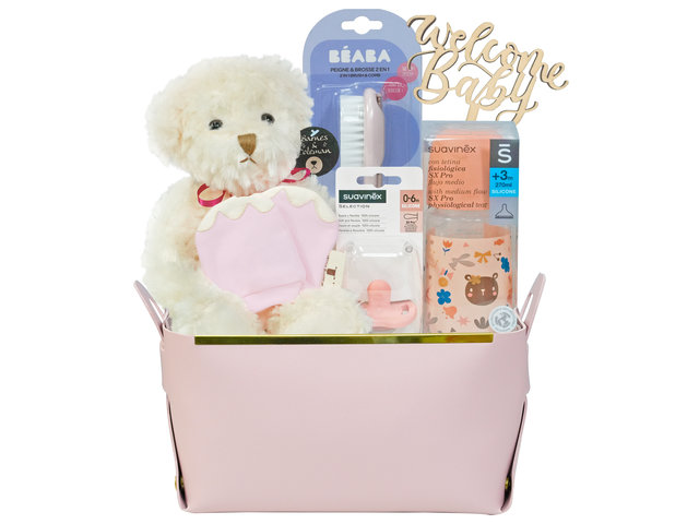 BB婴儿礼物 - 迷你初生婴儿BB礼物篮 NB31 - VE0320A8 Photo