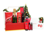 /en/s/product_short/XR1111A1