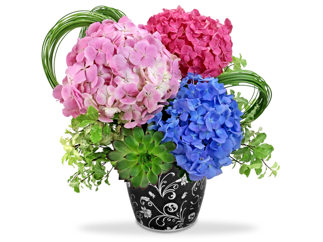 Florist Flower Arrangement - British table florist ET16 - L76606311 Photo