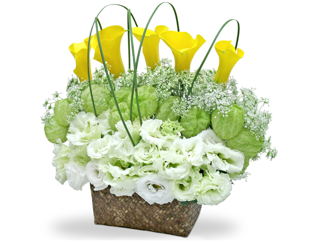 Florist Flower Arrangement - Calla LilyFlorist Vase Decor H01 - L36668375 Photo