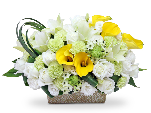 Florist Flower Arrangement - Florist gift arrangement  BG25 - L76602352 Photo