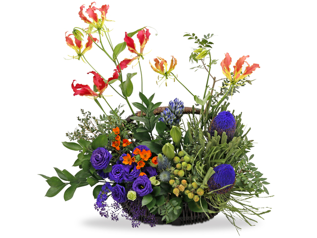 Florist Flower Arrangement - French florist arrangement BT17 - L76606070 Photo