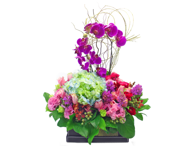Florist Flower Arrangement - Genki - L23739 Photo