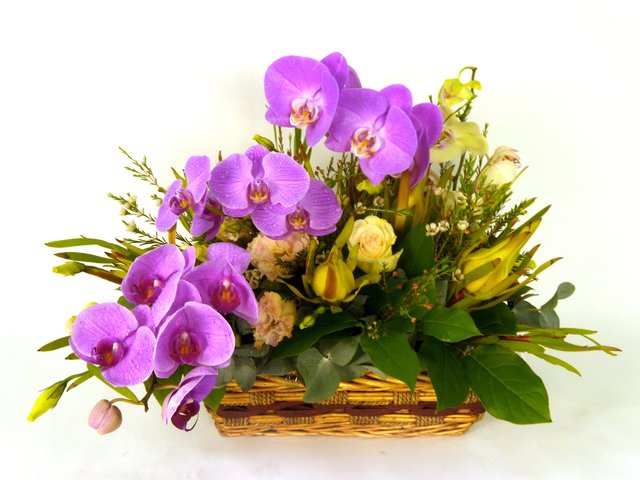 Florist Flower Arrangement - On Cloud Nine - P17321 Photo