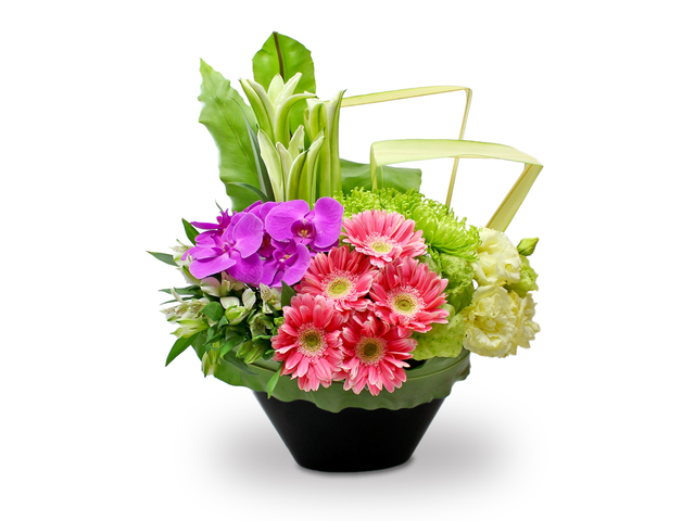 Florist Flower Arrangement - Orchid  Florist vase Decor  12 - L3153877 Photo