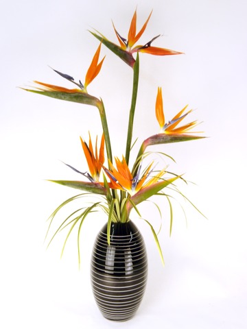 Florist Flower Arrangement - Praise - P8249 Photo