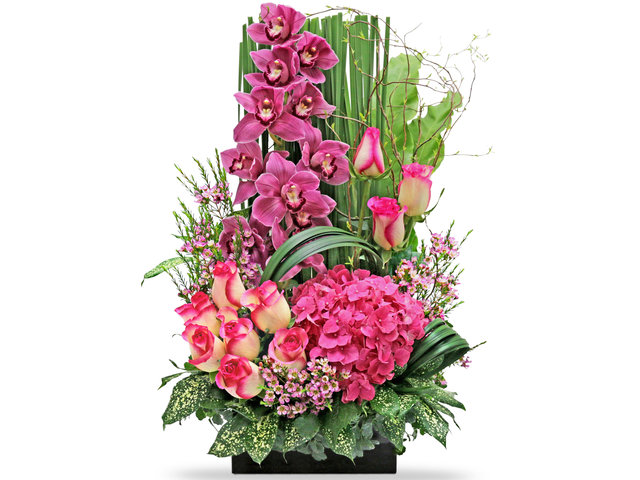 Florist Flower Arrangement - Red Cymbidium Florist Deco B6 - L76605327 Photo