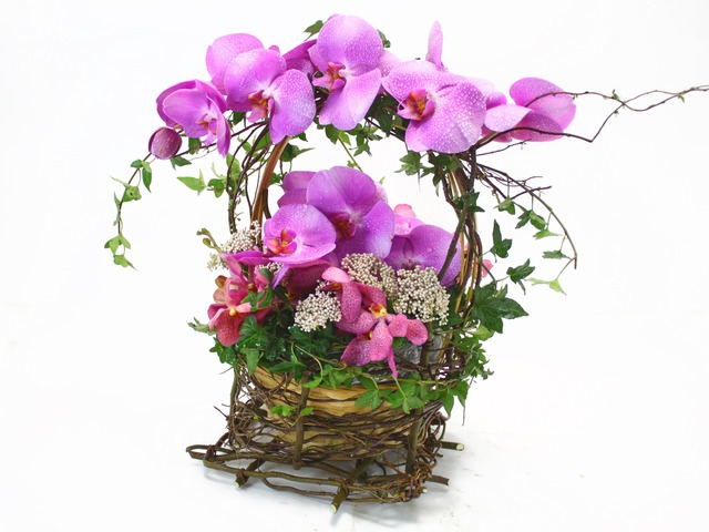 Florist Flower Arrangement - Rock-a-By (Purple) - L30969 Photo