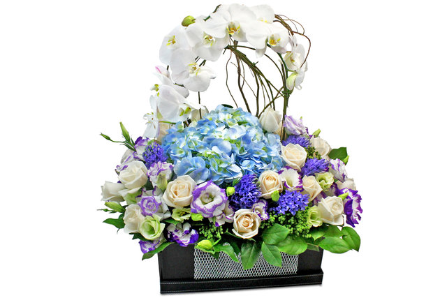 Florist Flower Arrangement - White Orchid flower box Decor T11 - L0196209 Photo