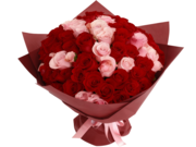 /en/s/product_short/9E1202A1