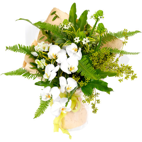 Florist Flower Bouquet - Orchid Bouquet BQ006 - VE0311A3 Photo