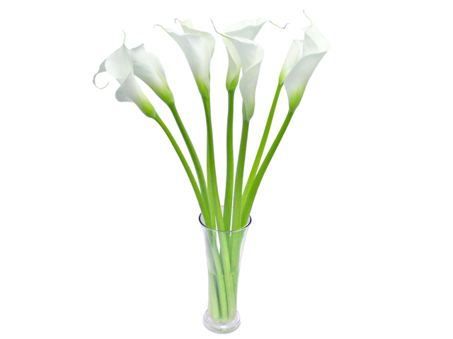 Florist Flower in Vase - Calla LilyFlorist Vase Decor L2 - L3135154 Photo