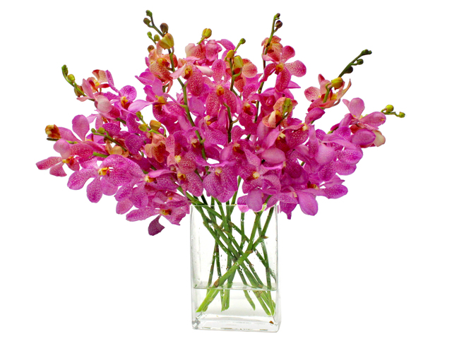 Florist Flower in Vase - Ochrids Florist Vase Decor W1 - L3135374 Photo