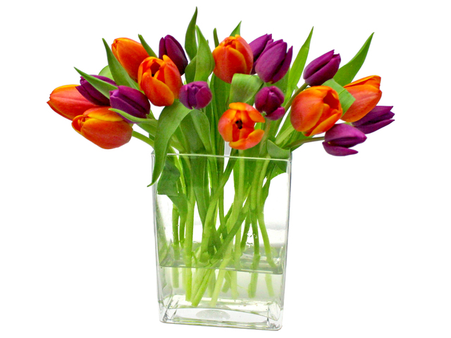Florist Flower in Vase - Tulip Florist Vase Decor V1 - L3135116 Photo