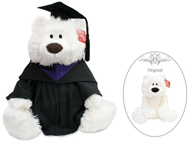 Florist Gift - Gund Classic White Graduation Teddy Bear - L7778022b Photo