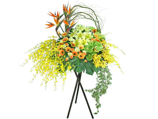 Flower Basket Stand - Congratulations Florist Stand B19 - L76608547 Photo