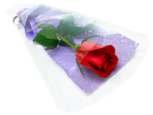 Fresh Cake - Stem of rose with packing - L3666875 Photo