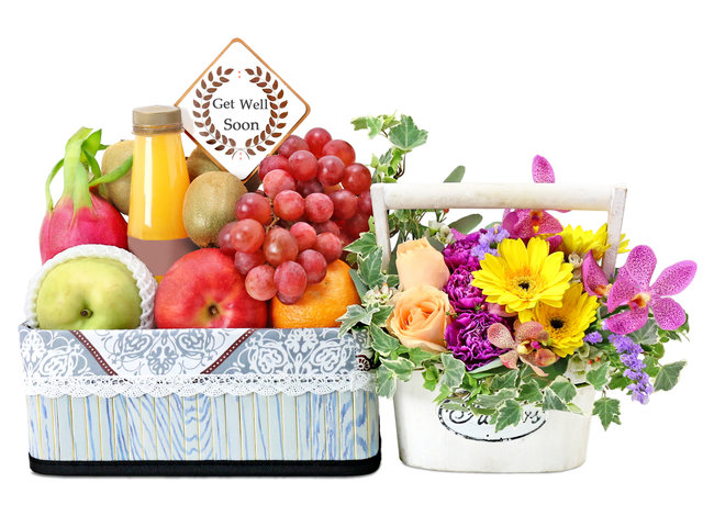 Fruit Basket - Recovery Basket G5 - L76602204 Photo