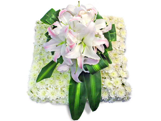 Funeral Coffin n Casket Flower - Coffin flower 5 - L174182 Photo