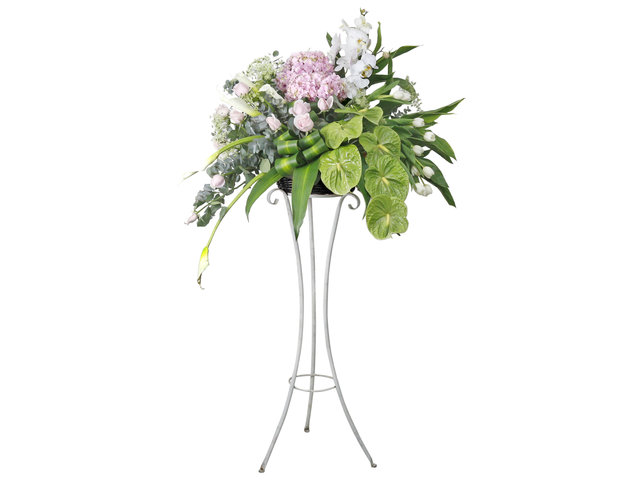 Funeral Flower - Italy florist arrangement Collection DA01 - L76610568 Photo