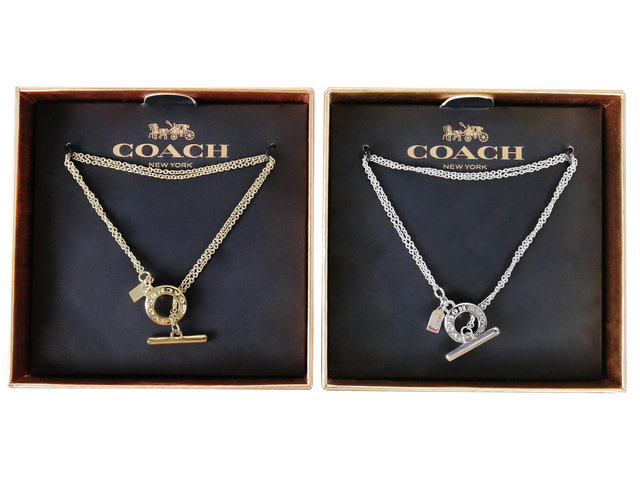 Gift Accessories - Coach Bracelets - CN0528A2 Photo