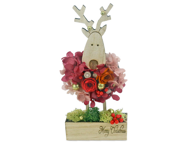 Gift Accessories - Find the Rudolf Preserved Flower M30 - L36515512 Photo