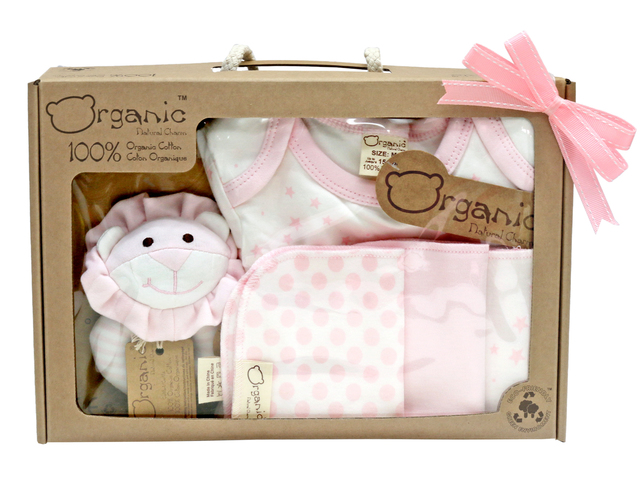 Gift Accessories - Natural Charm Organic Cotton Baby Gift Set - L36667857 Photo