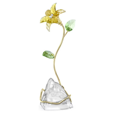Gift Accessories - Swarovski-Crystal Florere Lily - SI0830A7 Photo