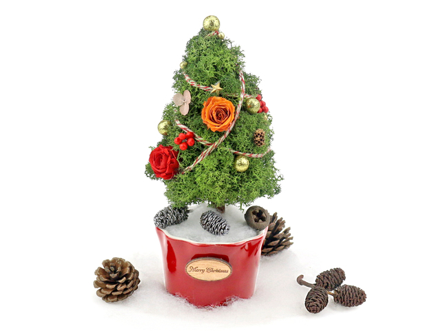 Gift Accessories - Tiny Teeny Christmas Tree Preserved Flower M18 - L36515502 Photo