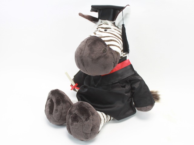 Gift Accessories - Zebra Graduation Doll - L24555 Photo