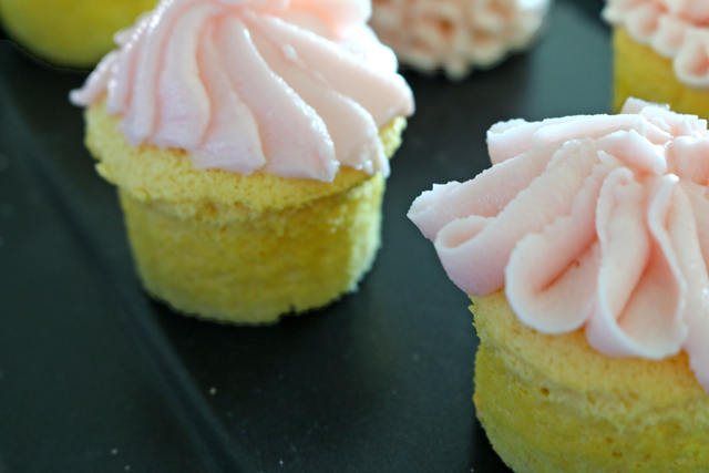 Gift Accessories - cupcake4 - FOOD000012 Photo