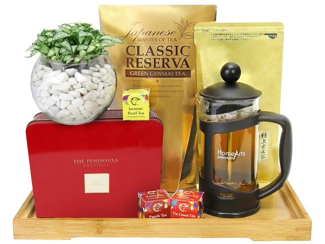 Hamper A5 Board - Fancy Tea Gift Hamper With Mini Potted Plant FH60 - TN0419A3 Photo