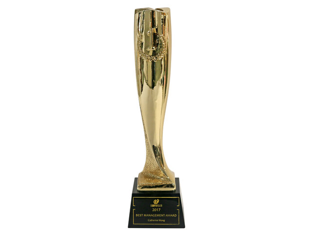Handmade Memorabilia - Business/Government/School/Dinner Party personalized glass trophy, crystal award - L45000090 Photo